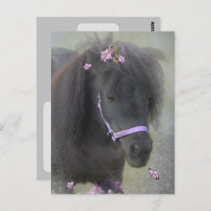 Pony - Postcard