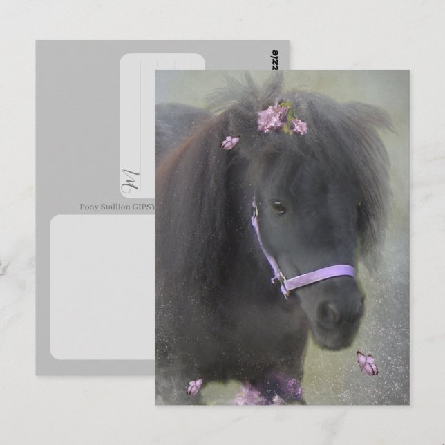 Pony - Postcard (Front/Back)