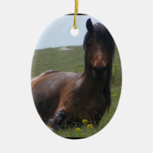 Pony Resting Ornaments