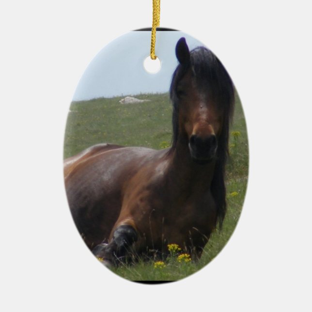 Pony Resting Ornaments (Front)