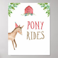 Pony Rides Farm Animals Barnyard Boy Birthday