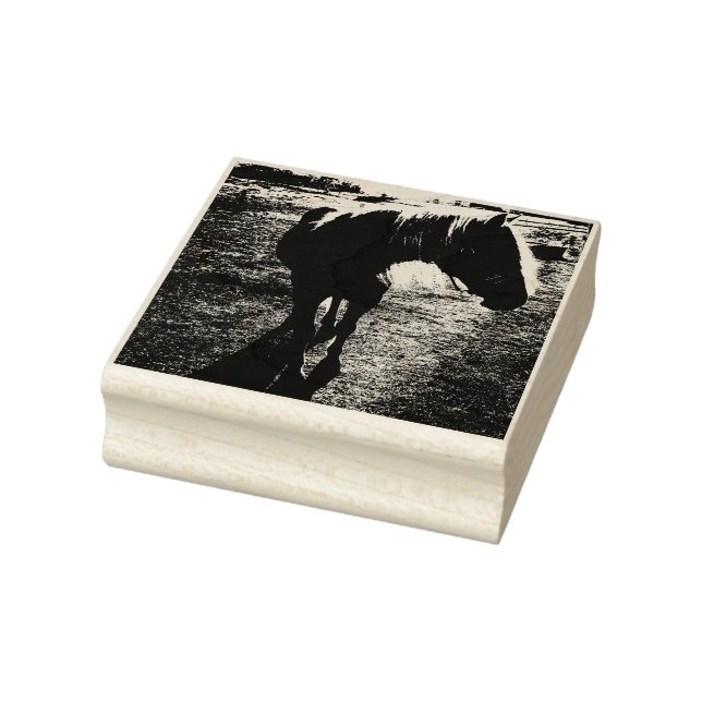 Pony Silhouetted Rubber Stamp (Stamp)