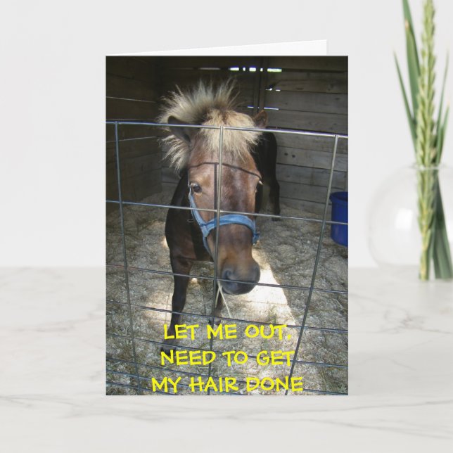 PONY WITH HAIR DELEMA=BIRTHDAY CARD (Front)