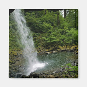 Ponytail Falls, Oregon Magnet