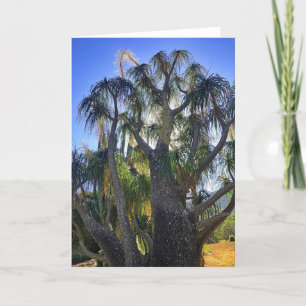 Ponytail Palm Thank You Card