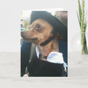 POOCH BEGS PARDON-BELATED BIRTHDAY CARD