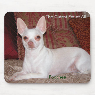 Poochee winter 026, The Cutest Pet of All., Poo... Mouse Mat