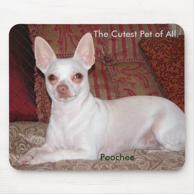 Poochee winter 026, The Cutest Pet of All., Poo... Mouse Mat (Front)