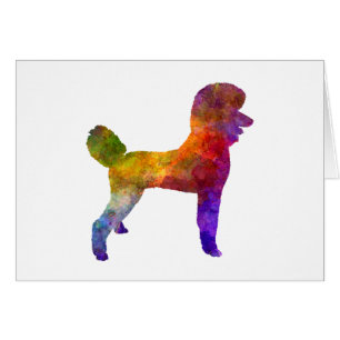 Poodle 01 in watercolor