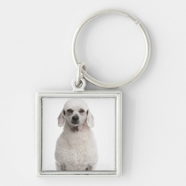 Poodle (1 year old) key ring (Front)