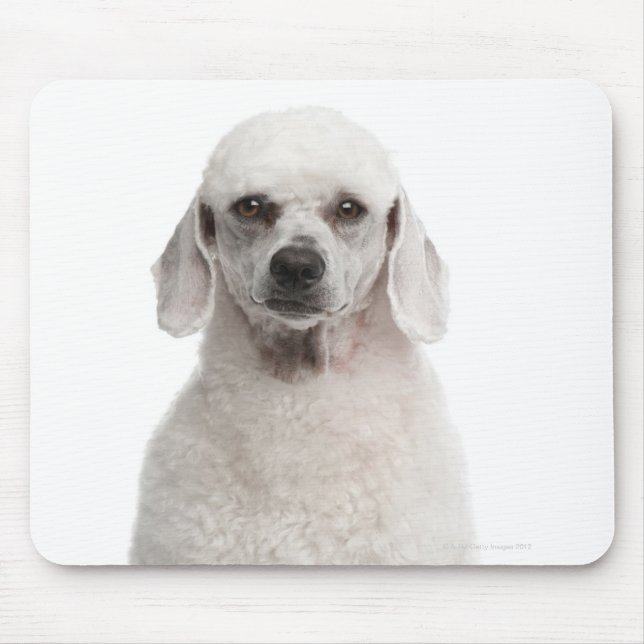 Poodle (1 year old) mouse mat (Front)