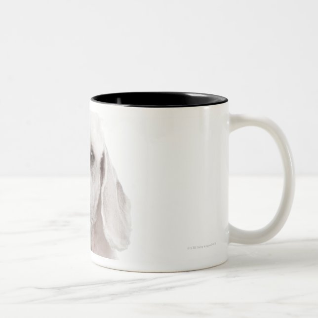 Poodle (1 year old) Two-Tone coffee mug (Right)