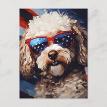 Poodle 4th of July Independence day
