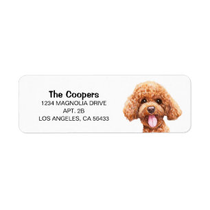 Poodle Address