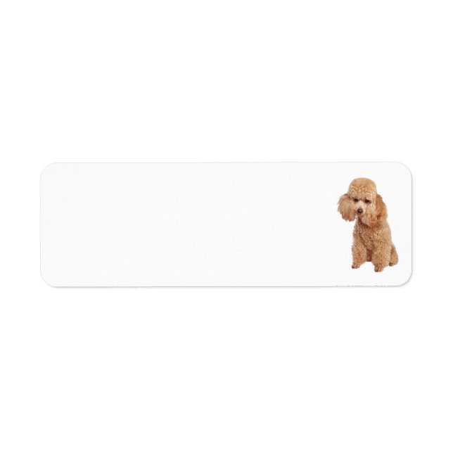 Poodle Address Label (Front)