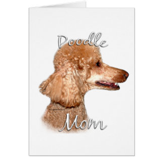 Poodle (apricot) Mum 2