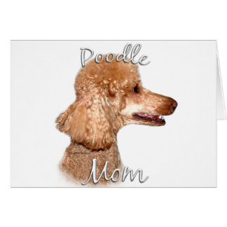 Poodle (apricot) Mum 2