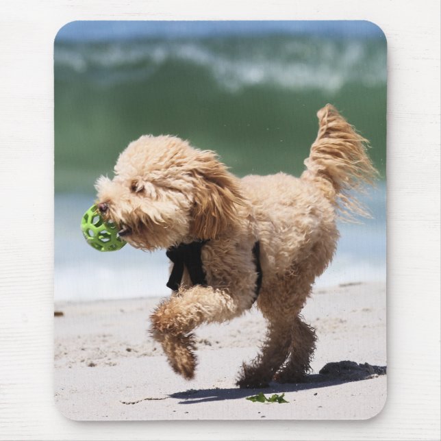 Poodle - Apricot - Poodle Play Mouse Mat (Front)