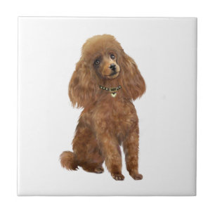Poodle - Apricot Tile
