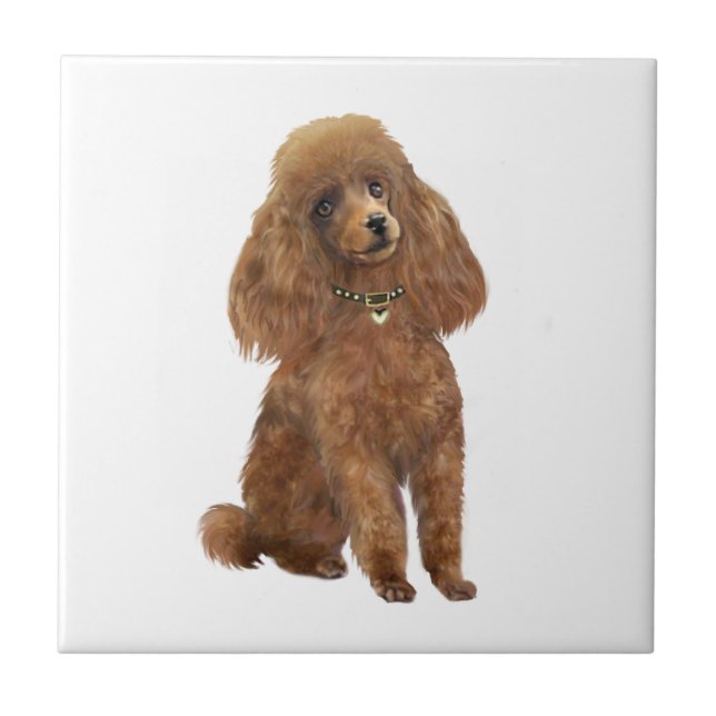 Poodle - Apricot Tile (Front)