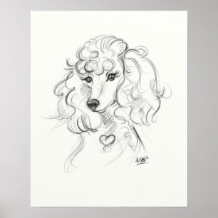 Poodle Art Print   Sketch Art