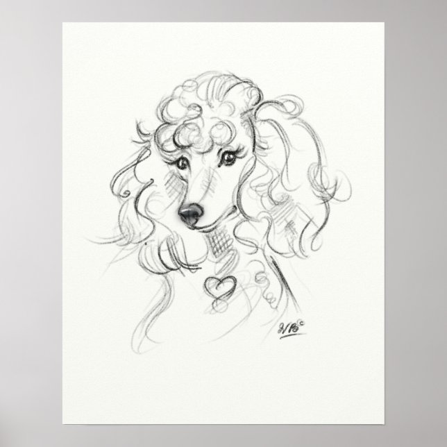 Poodle Art Print | Sketch Art (Front)