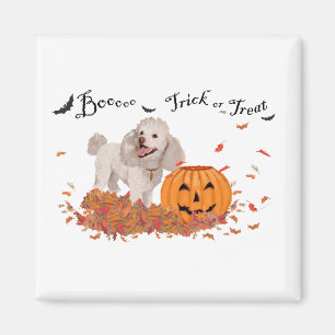 Poodle at Halloween Magnet