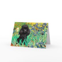 Poodle (black 1) - Irises