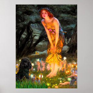 Poodle(black 1)-MidEve Poster