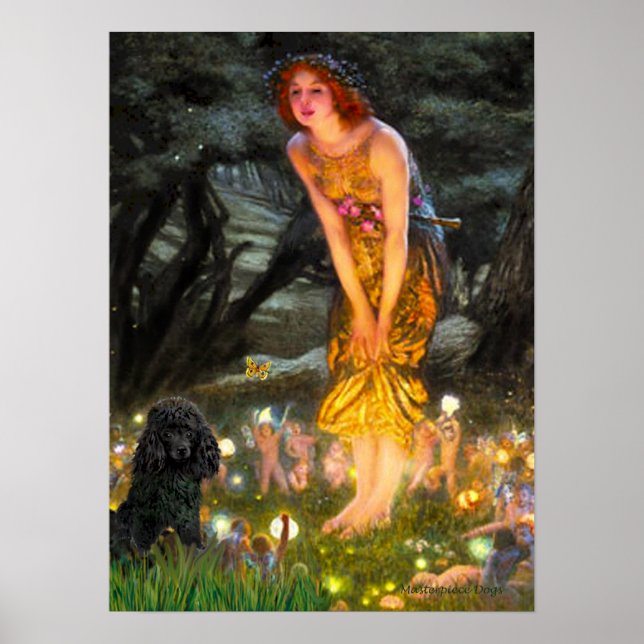 Poodle(black 1)-MidEve Poster (Front)