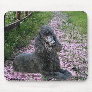 Poodle Black Mousepad Purple Flowers