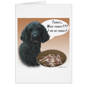 Poodle (black) Turkey