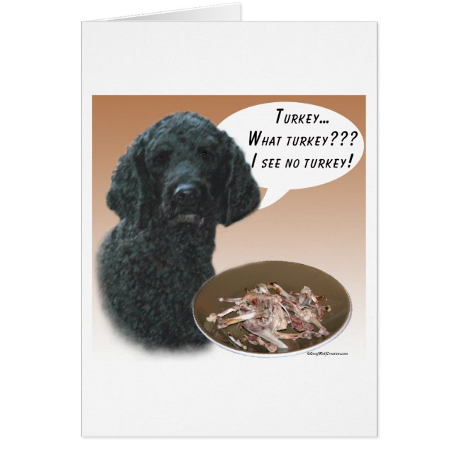 Poodle (black) Turkey (Front)