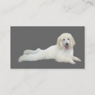 Poodle Breeder Business Card