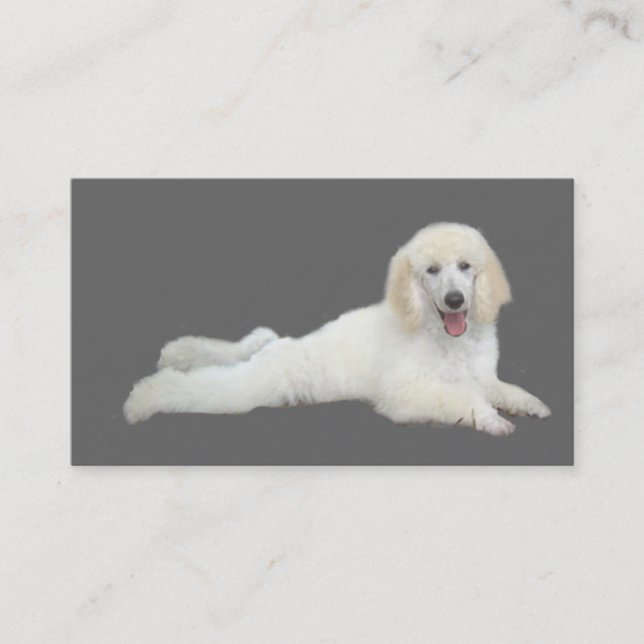 Poodle Breeder Business Card (Front)