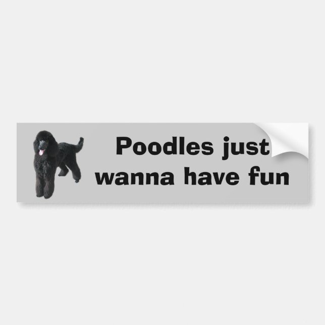 Poodle Bumper Sticker (Front)