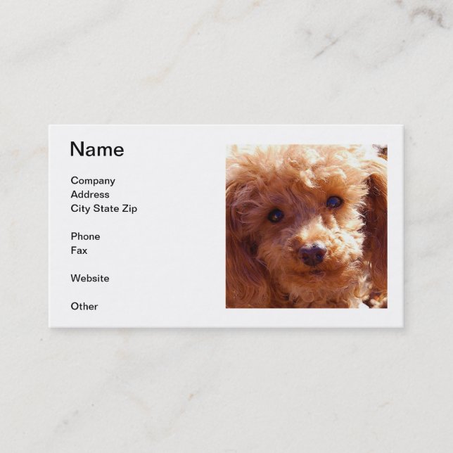 Poodle Business Cards (Front)