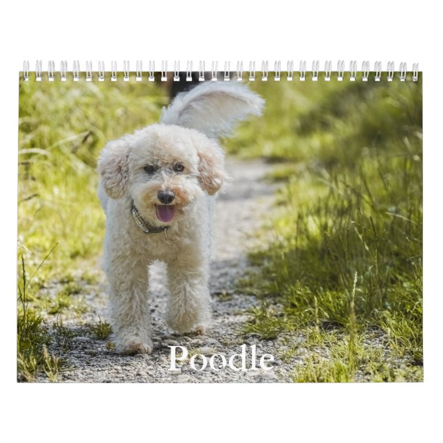 Poodle Calendar (Cover)