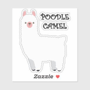 Poodle Camel
