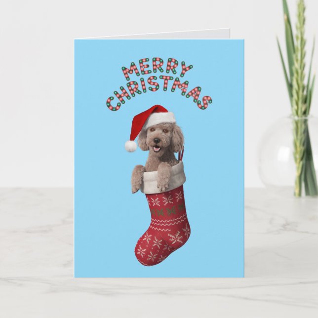 Poodle Christmas Card (Front)