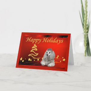 Poodle  Christmas Card Stars