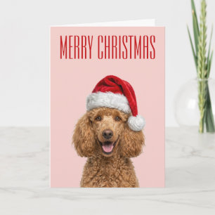 Poodle Christmas Cheer Card
