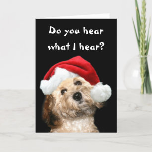 Poodle Christmas Holiday Card