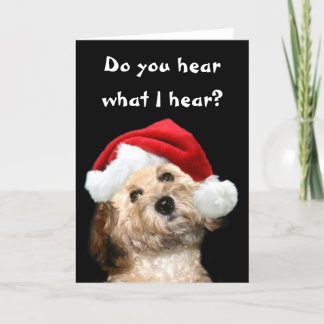 Poodle Christmas Holiday Card