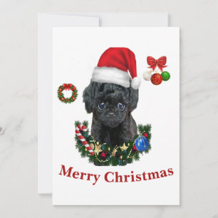 Poodle  Christmas  Invitation