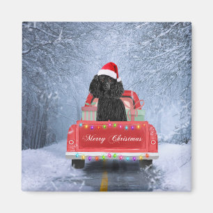 Poodle Christmas Magnet