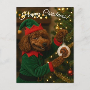 Poodle Christmas postcard