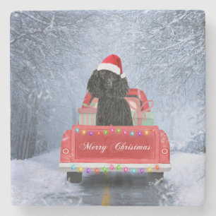 Poodle Christmas Stone Coaster