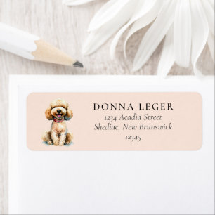 Poodle Dog Address