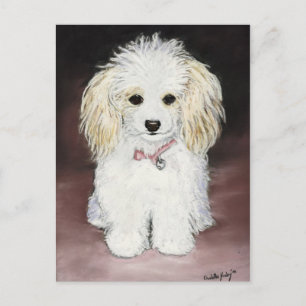Poodle Dog Art Postcard